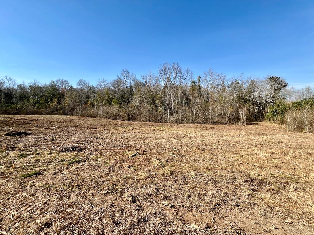 3ac Morris North St, Slocomb, Alabama image 21