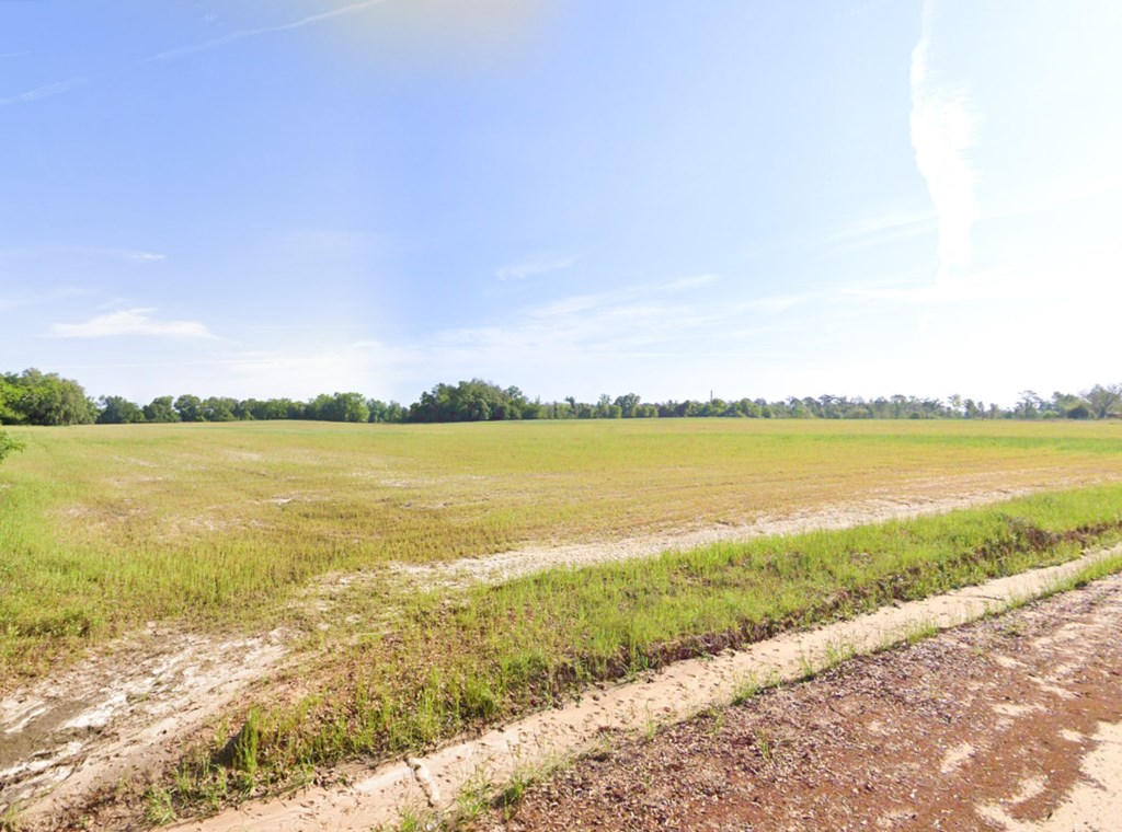 Long Rd, Gordon, Alabama image 8