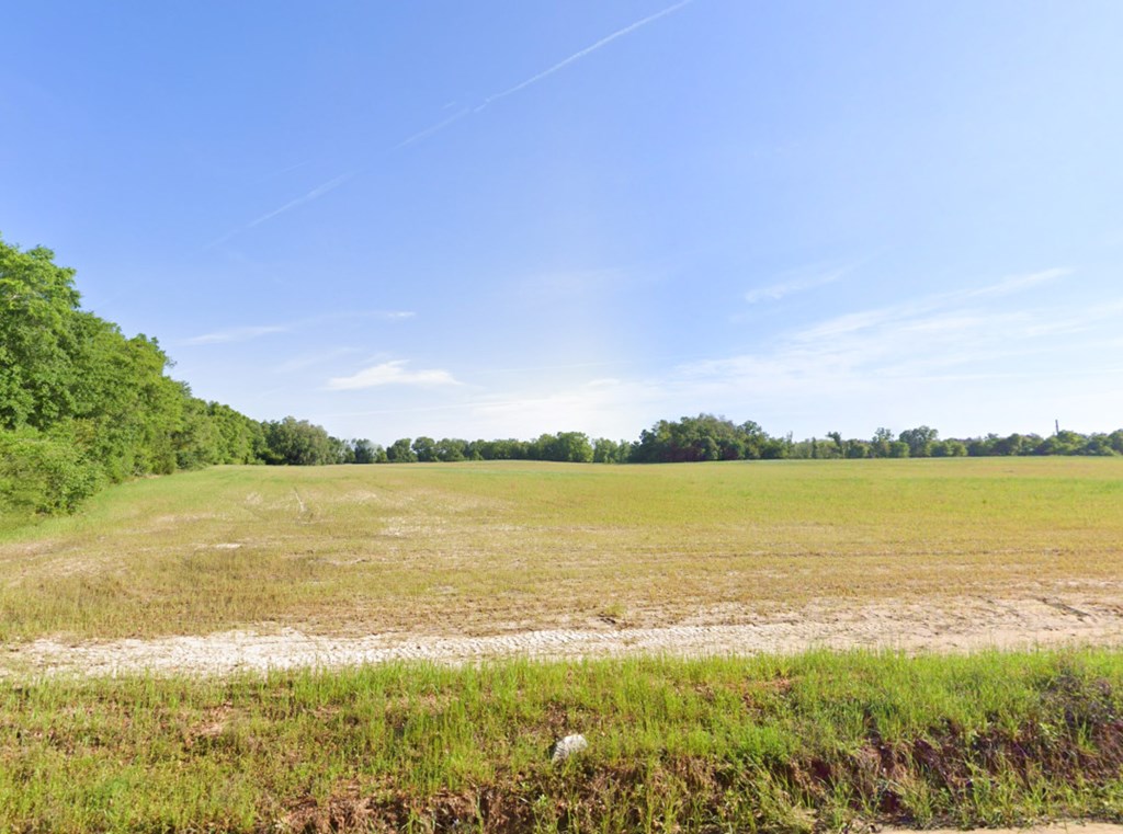 Long Rd, Gordon, Alabama image 9