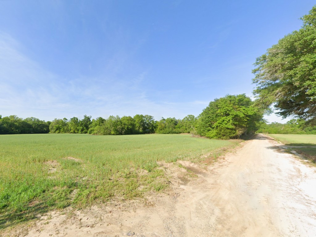 Long Rd, Gordon, Alabama image 10