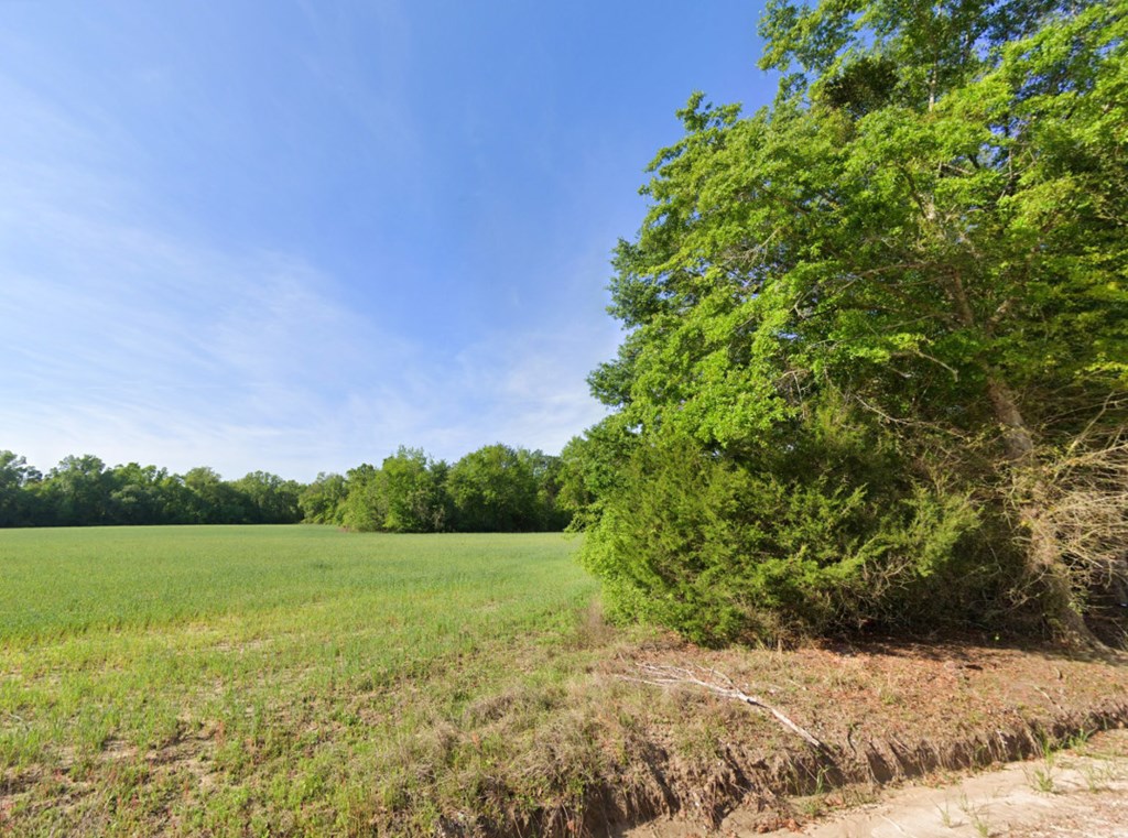 Long Rd, Gordon, Alabama image 4