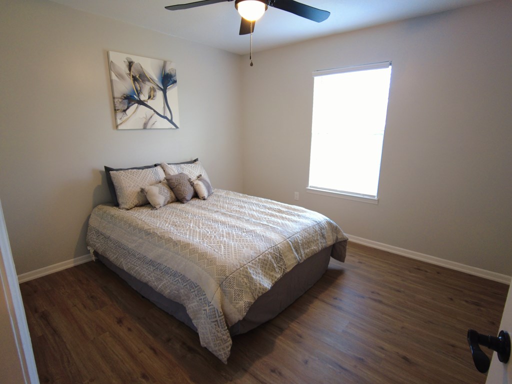 62 Cedar Avenue, Blakely, Georgia image 21