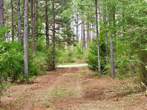 Vacant Land For Sale - E County Road 22<br/> Headland, AL 36345