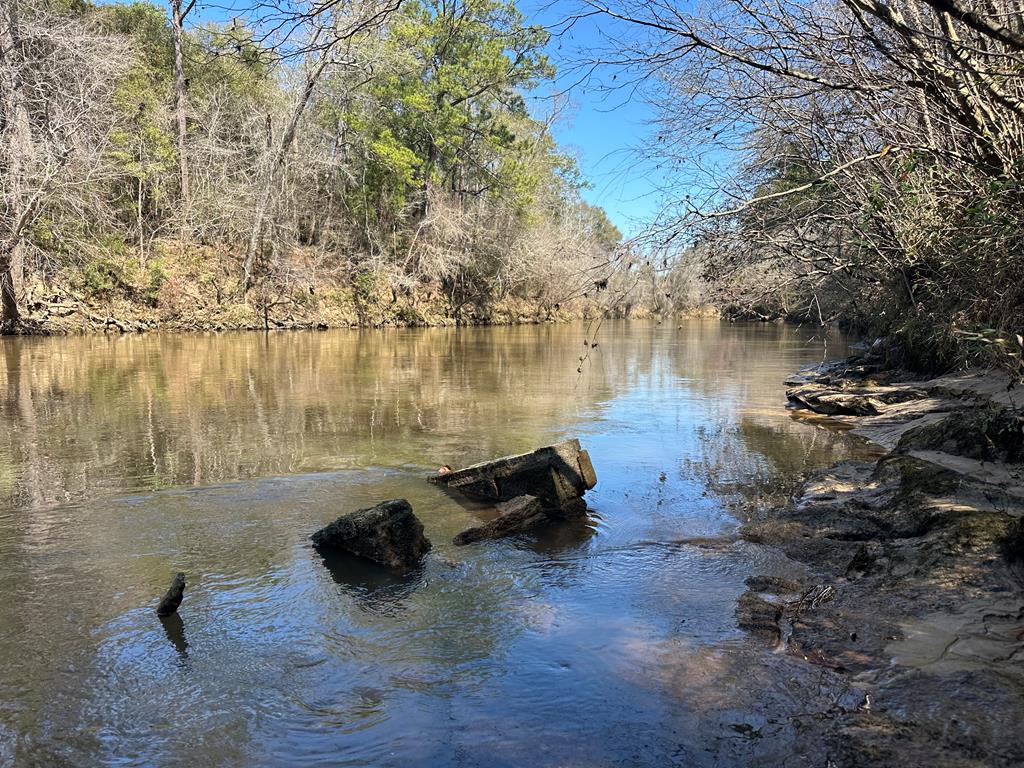 Land, Newton, Alabama image 17