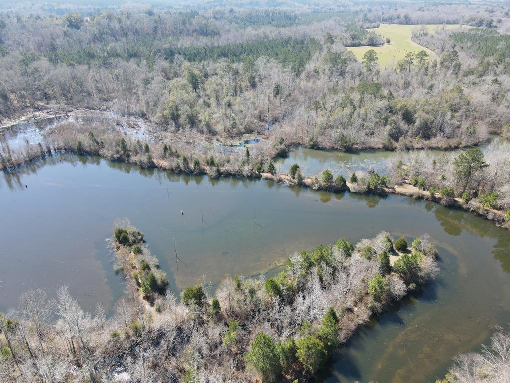 Land, Newton, Alabama image 9