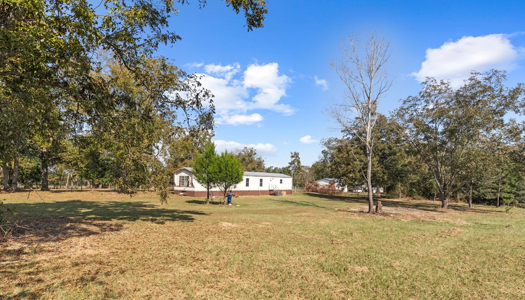 144 Meadows Road, Ashford, Alabama image 7