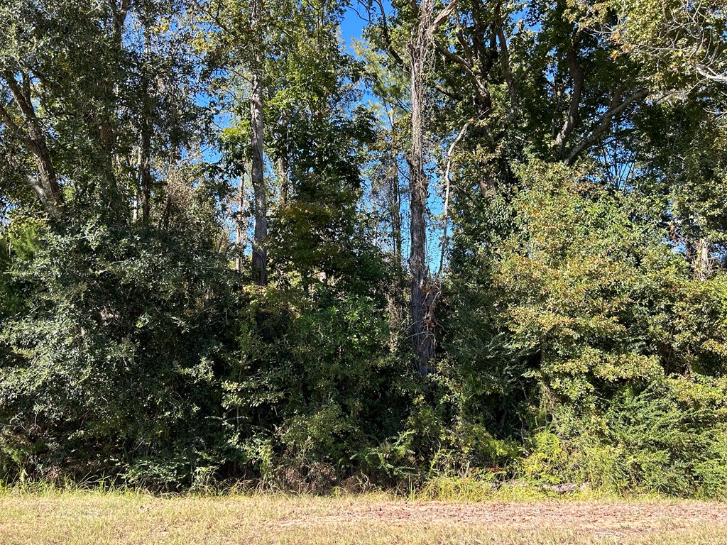 4.588+-ac Lot 7, D Hodge Rd, Cottonwood, Alabama image 9