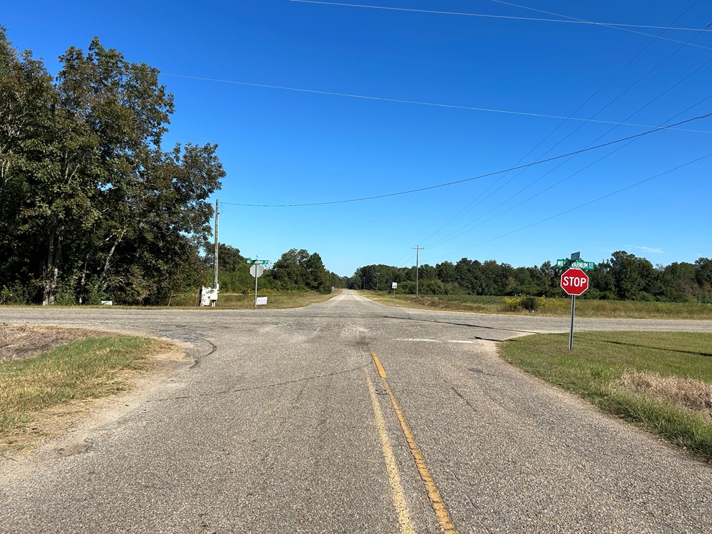 4.588+-ac Lot 7, D Hodge Rd, Cottonwood, Alabama image 13