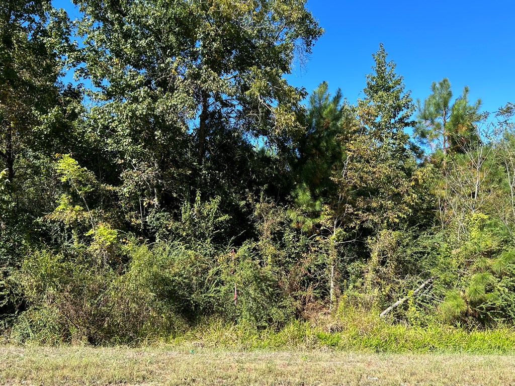 4.588+-ac Lot 7, D Hodge Rd, Cottonwood, Alabama image 10