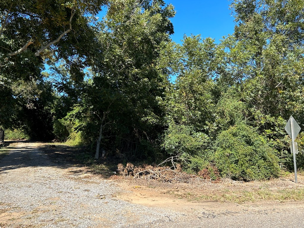 4.588+-ac Lot 7, D Hodge Rd, Cottonwood, Alabama image 5