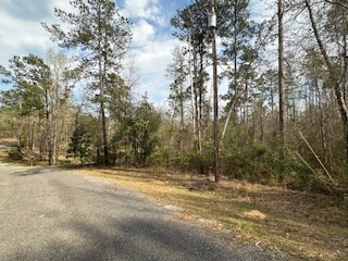 Woodland Drive, Abbeville, Alabama image 4