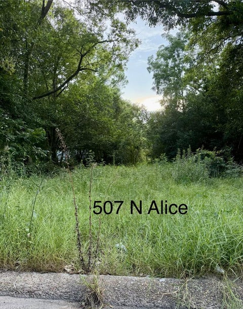 Vacant Land For Sale - 507 N Alice Street<br/> Houston County, Dothan, AL 36303