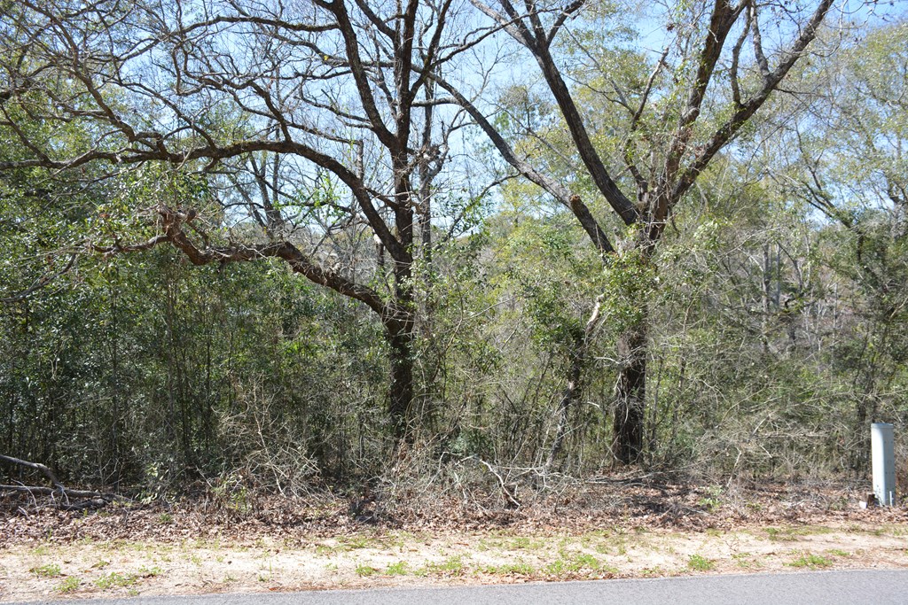 Lot 12-15 Blk A Oak Lake Drive, Enterprise, Alabama image 5