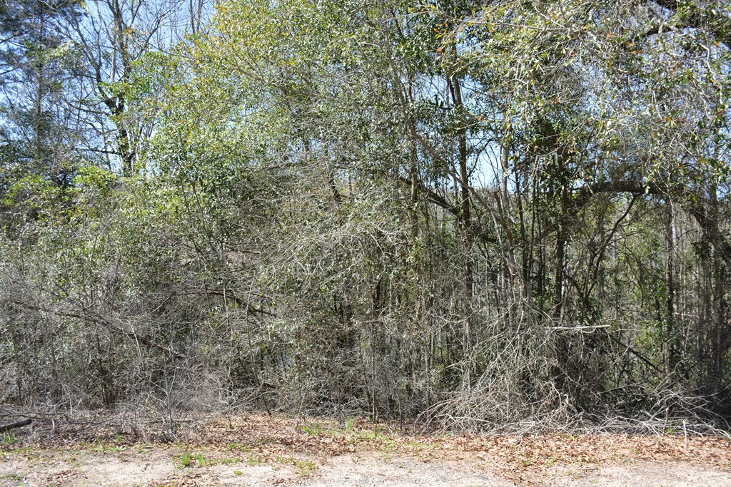 Lot 12-15 Blk A Oak Lake Drive, Enterprise, Alabama image 9