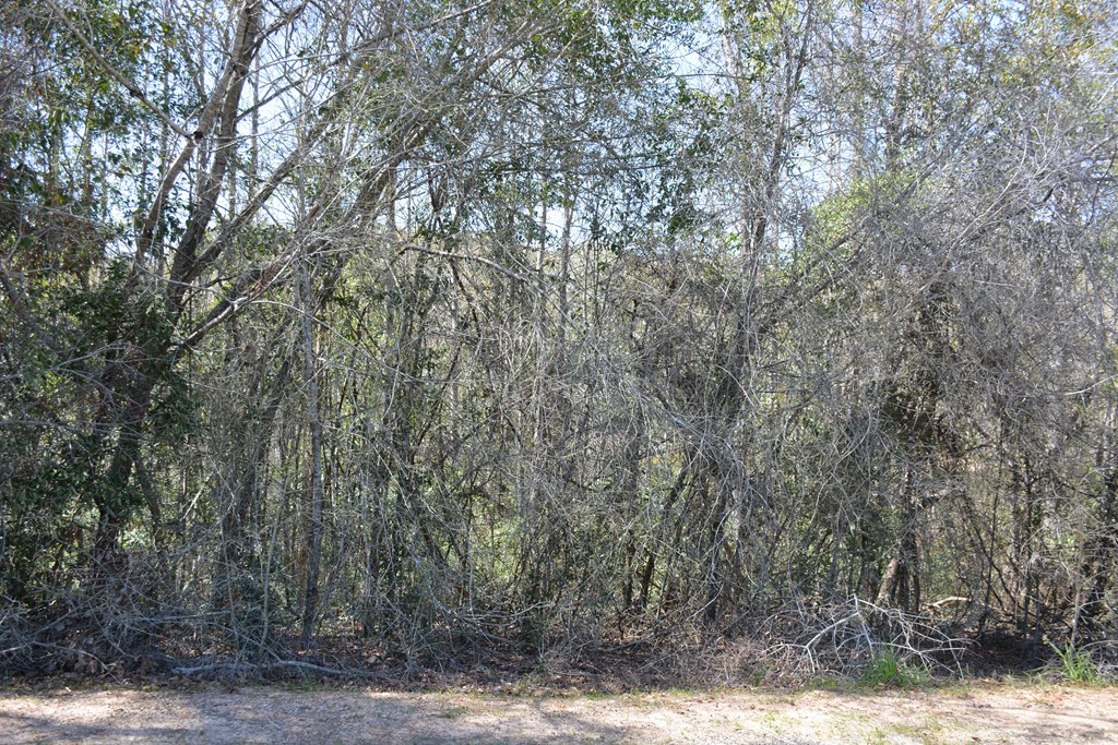 Lot 12-15 Blk A Oak Lake Drive, Enterprise, Alabama image 10