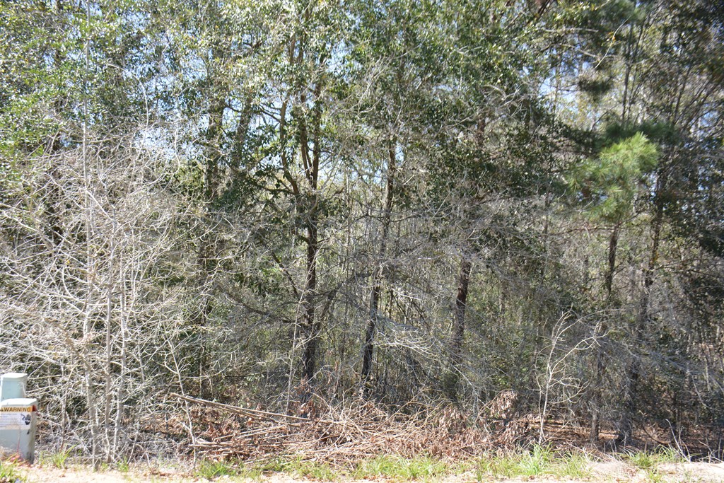 Lot 12-15 Blk A Oak Lake Drive, Enterprise, Alabama image 14