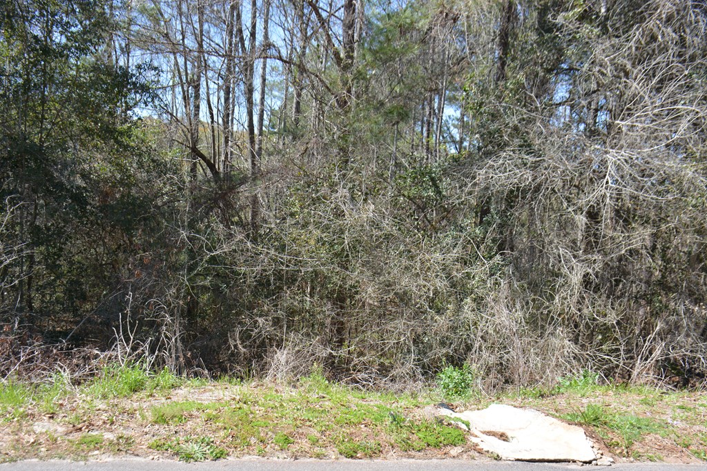 Lot 12-15 Blk A Oak Lake Drive, Enterprise, Alabama image 16