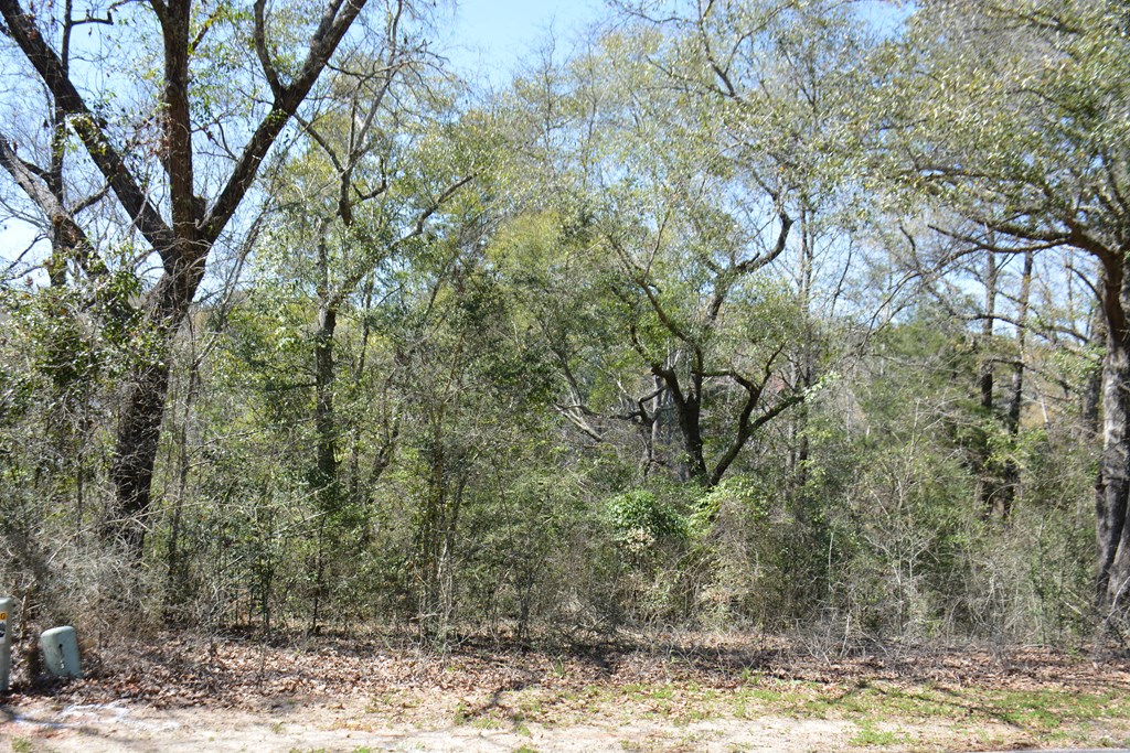 Lot 12-15 Blk A Oak Lake Drive, Enterprise, Alabama image 6