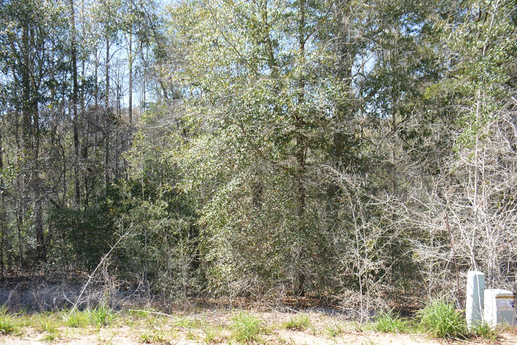 Lot 12-15 Blk A Oak Lake Drive, Enterprise, Alabama image 13