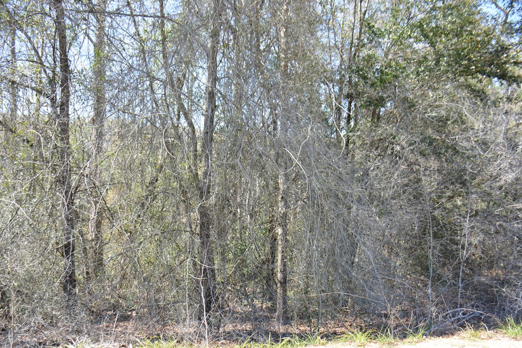 Lot 12-15 Blk A Oak Lake Drive, Enterprise, Alabama image 11
