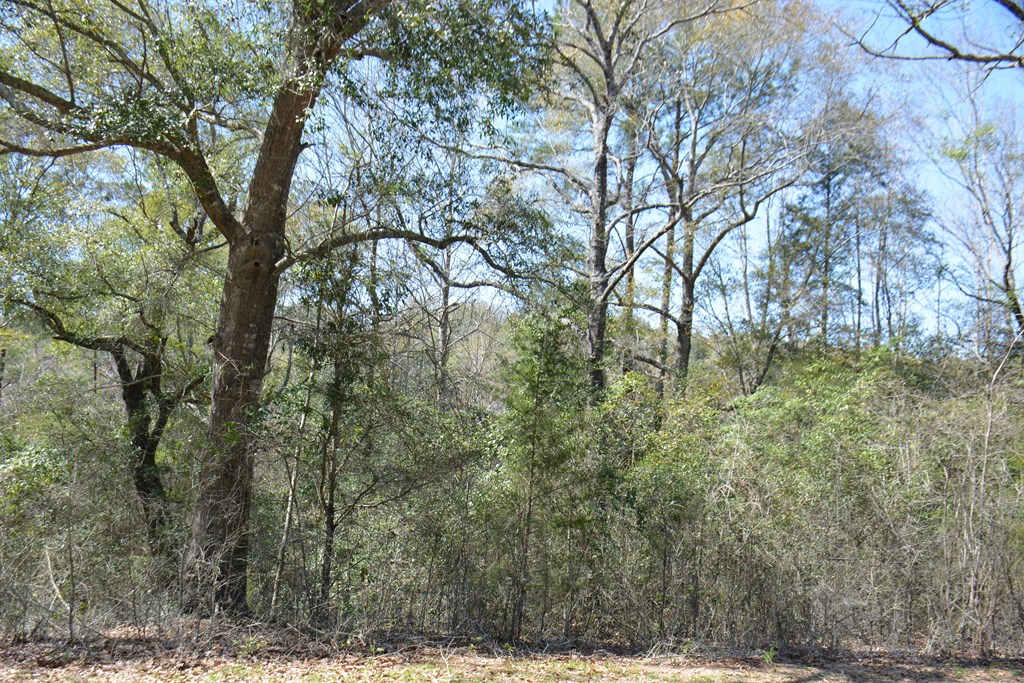 Lot 12-15 Blk A Oak Lake Drive, Enterprise, Alabama image 7