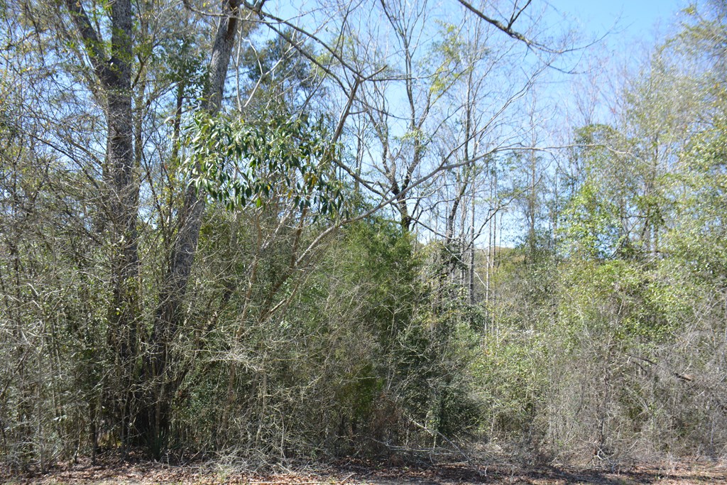 Lot 12-15 Blk A Oak Lake Drive, Enterprise, Alabama image 8