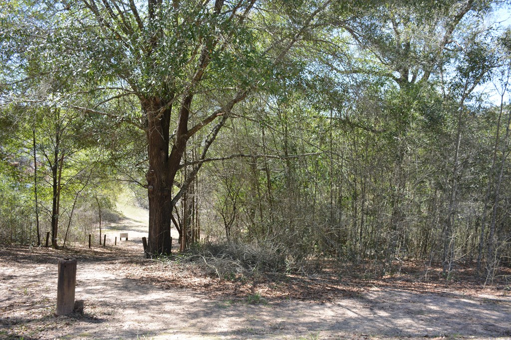 Lot 12-15 Blk A Oak Lake Drive, Enterprise, Alabama image 2