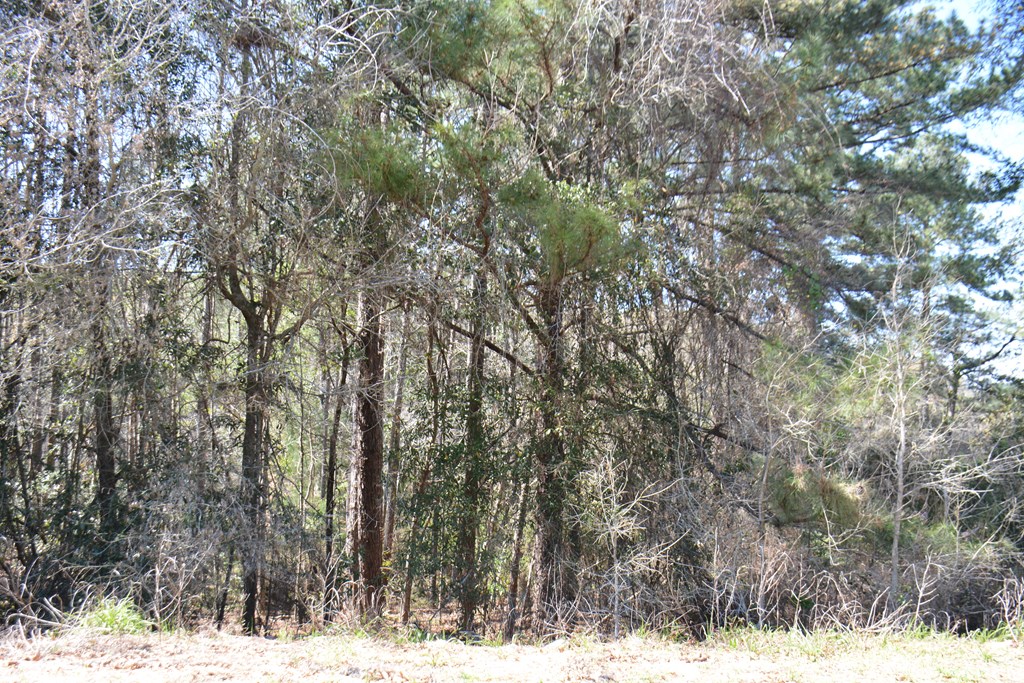 Lot 12-15 Blk A Oak Lake Drive, Enterprise, Alabama image 17