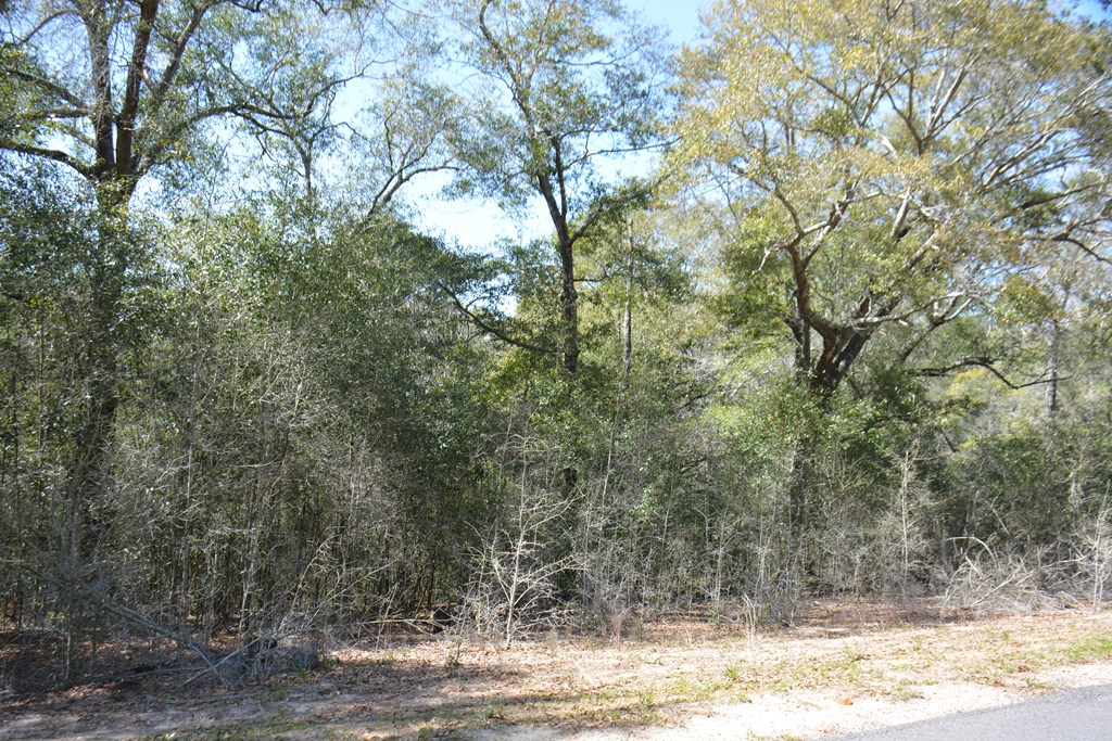 Lot 12-15 Blk A Oak Lake Drive, Enterprise, Alabama image 4