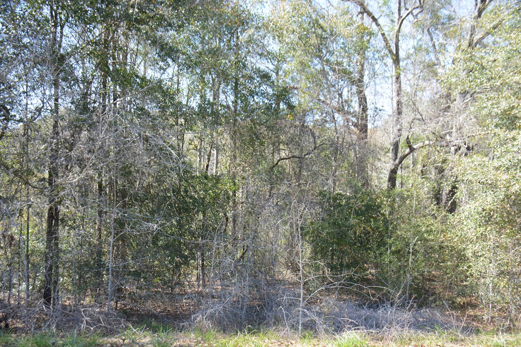 Lot 12-15 Blk A Oak Lake Drive, Enterprise, Alabama image 12