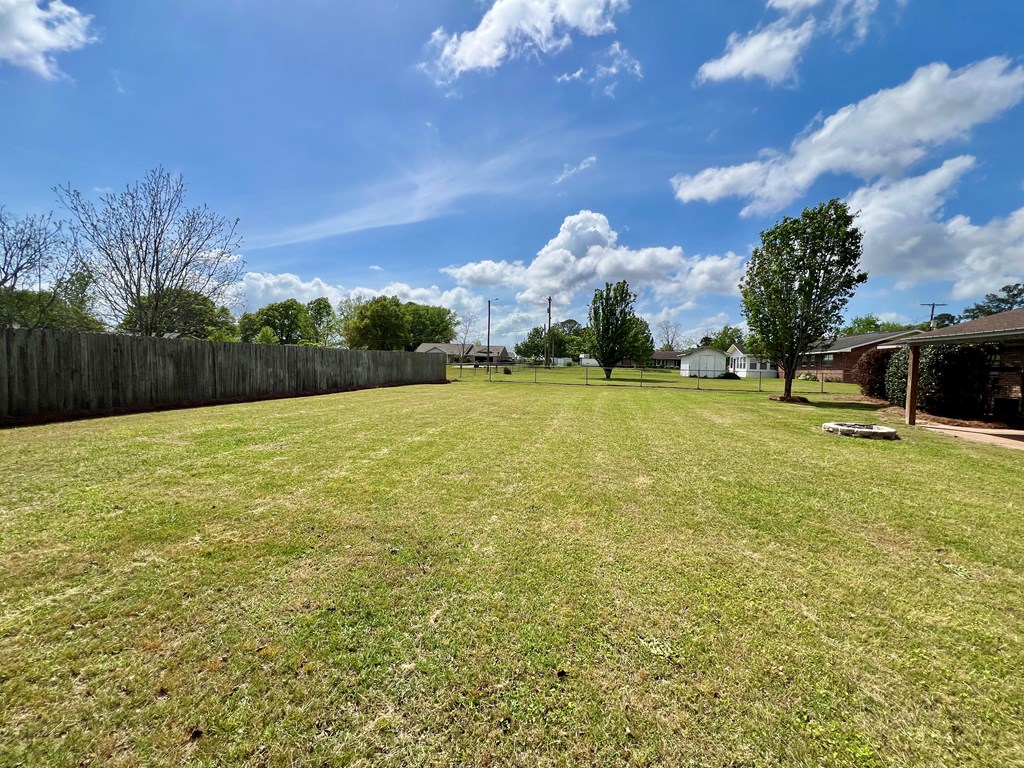 509 W Lily Street, Hartford, Alabama image 25