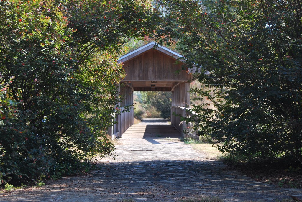 Lot 15 Block A Eagles View, Headland, Alabama image 14