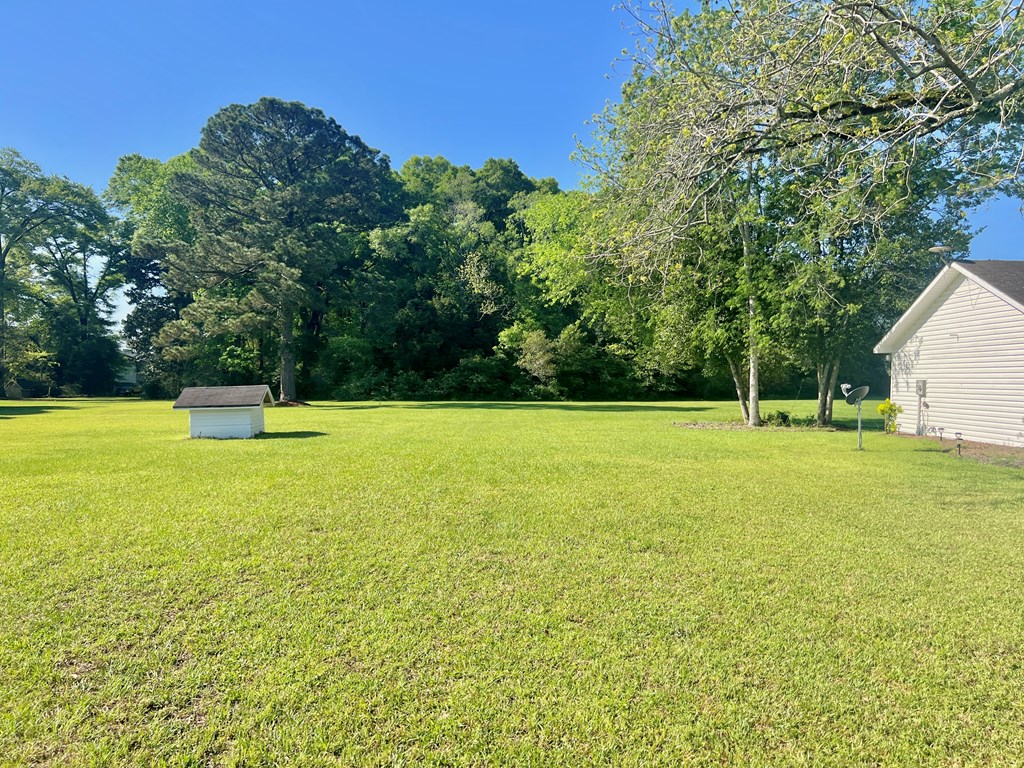741 County Road 45, Hartford, Alabama image 18