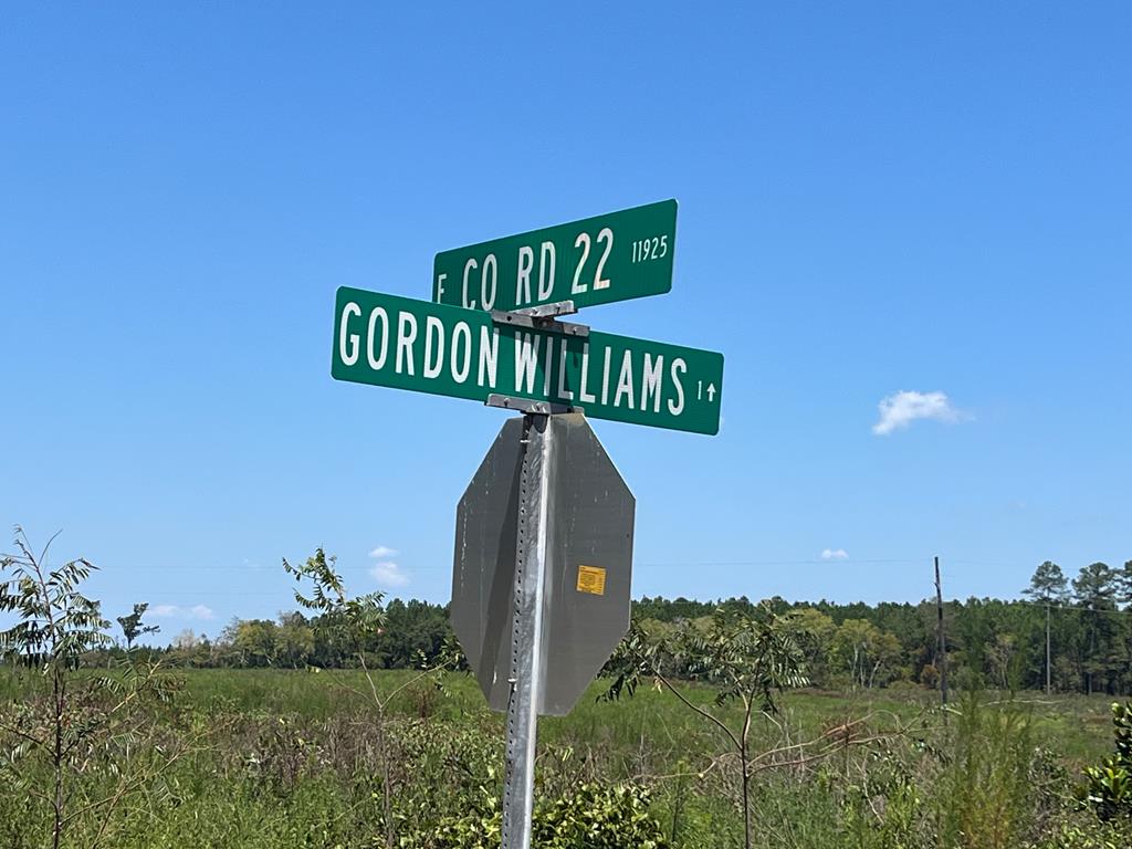 Lot # 8 Gordon Williams Road, Columbiaville, Alabama image 1