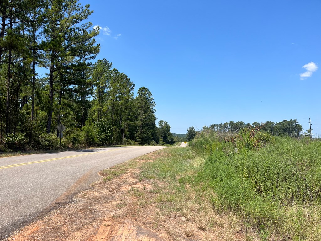 Lot # 8 Gordon Williams Road, Columbiaville, Alabama image 3