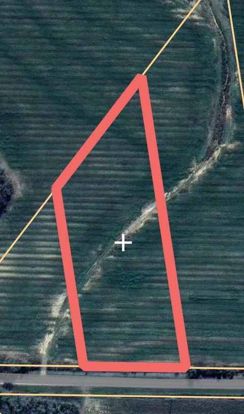 Vacant Land For Sale - LOT 2 Co Rd 92<br/> Slocomb, AL 36375