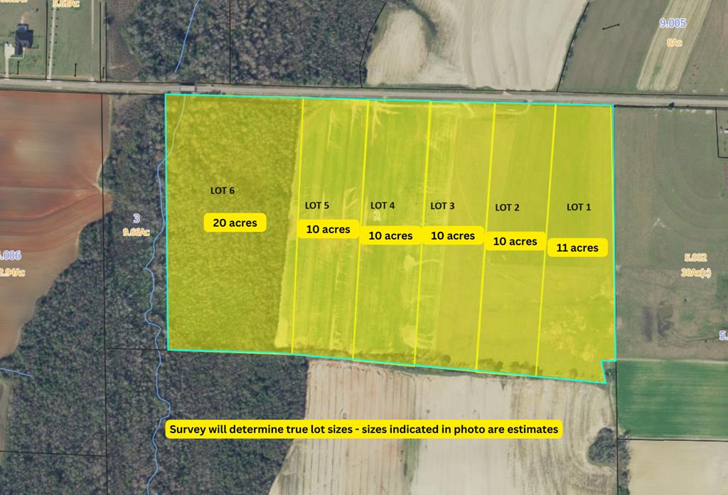 Lot 2 Enterprise Church Road, Ashford, Alabama image 1
