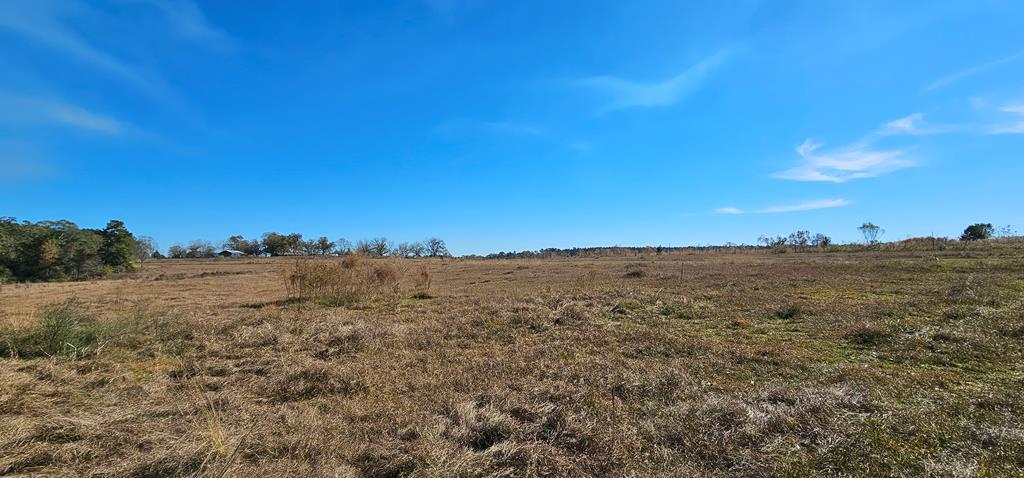 8.96 Acres Cottonwood Rd  (hwy 53), Cottonwood, Alabama image 7