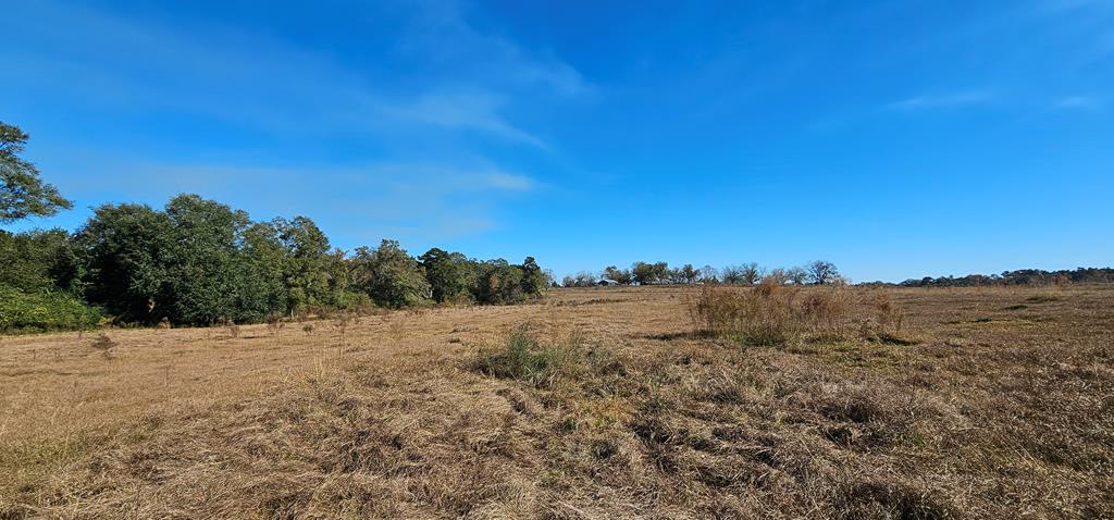 8.96 Acres Cottonwood Rd  (hwy 53), Cottonwood, Alabama image 38