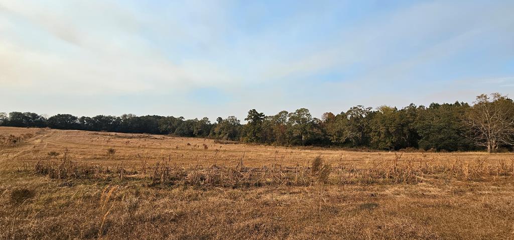 8.96 Acres Cottonwood Rd  (hwy 53), Cottonwood, Alabama image 33