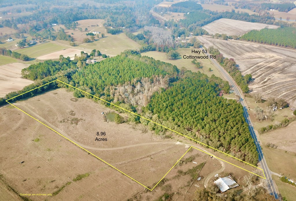 8.96 Acres Cottonwood Rd  (hwy 53), Cottonwood, Alabama image 3