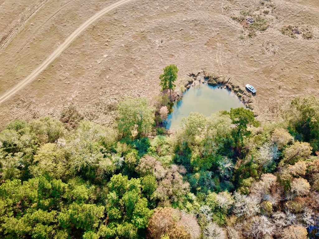 8.96 Acres Cottonwood Rd  (hwy 53), Cottonwood, Alabama image 30