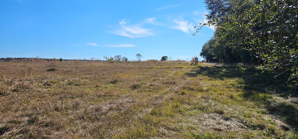 8.96 Acres Cottonwood Rd  (hwy 53), Cottonwood, Alabama image 36