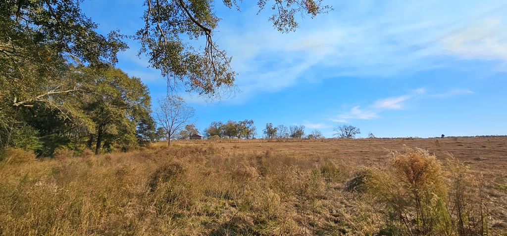 8.96 Acres Cottonwood Rd  (hwy 53), Cottonwood, Alabama image 18