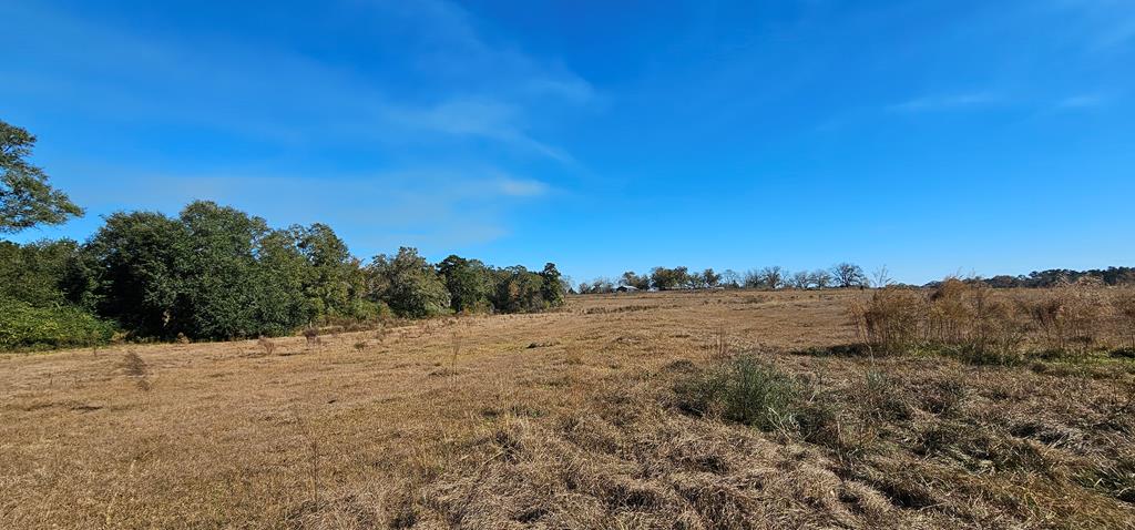 8.96 Acres Cottonwood Rd  (hwy 53), Cottonwood, Alabama image 10