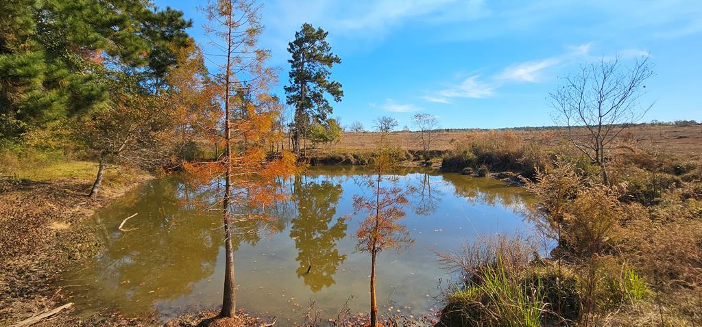 8.96 Acres Cottonwood Rd  (hwy 53), Cottonwood, Alabama image 1