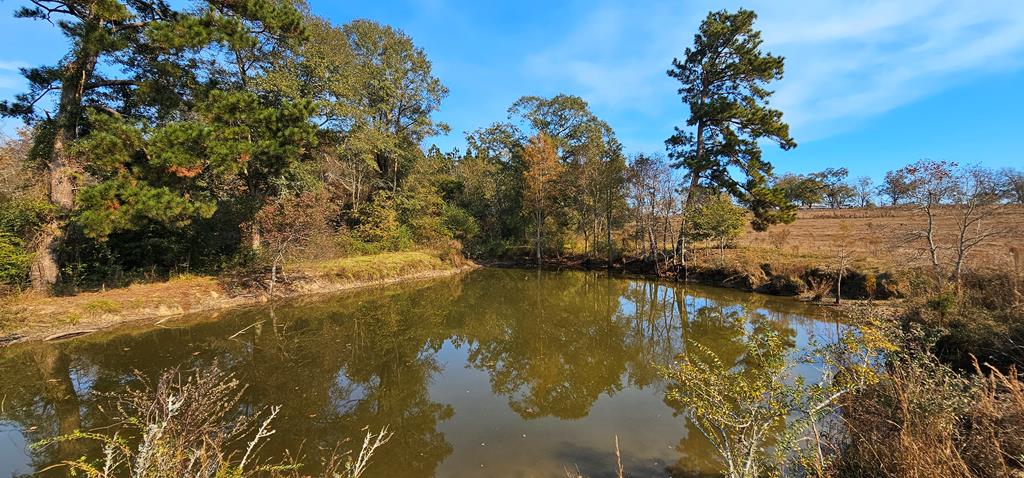 8.96 Acres Cottonwood Rd  (hwy 53), Cottonwood, Alabama image 13