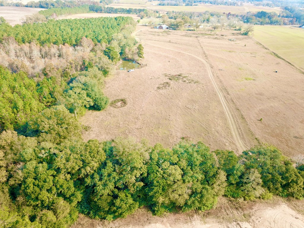 8.96 Acres Cottonwood Rd  (hwy 53), Cottonwood, Alabama image 26