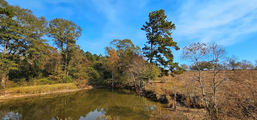 8.96 Acres Cottonwood Rd  (hwy 53), Cottonwood, Alabama image 19