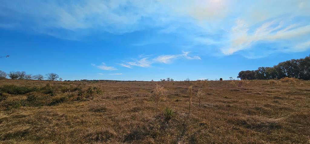 8.96 Acres Cottonwood Rd  (hwy 53), Cottonwood, Alabama image 11